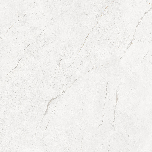 Плитка из керамогранита NL00 60x60x10 Полир. (Керамический гранит)