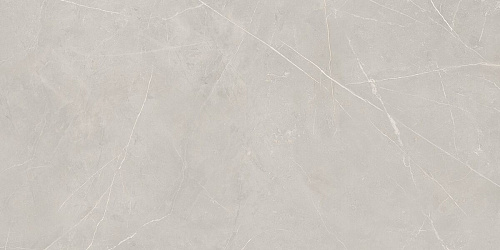 Плитка из керамогранита NL02 60x120x10 Непол.Рект. (Керамический гранит)