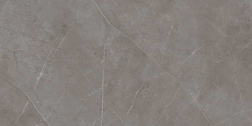 Плитка из керамогранита NL03 60x120x10 Непол.Рект. (Керамический гранит)