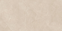 Плитка из керамогранита NL01 60x120x10 Непол.Рект. (Керамический гранит)