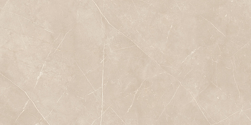 Плитка из керамогранита NL01 60x120x10 Непол.Рект. (Керамический гранит)