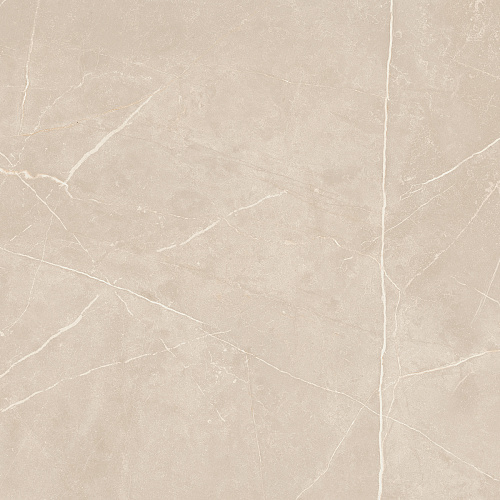 Плитка из керамогранита NL01 60x60x10 Полир. (Керамический гранит)