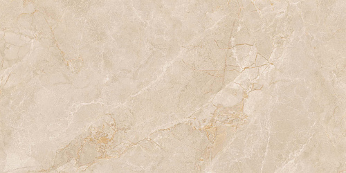 Плитка из керамогранита EXM301 60x120x9 Непол.Рект. (Керамический гранит)