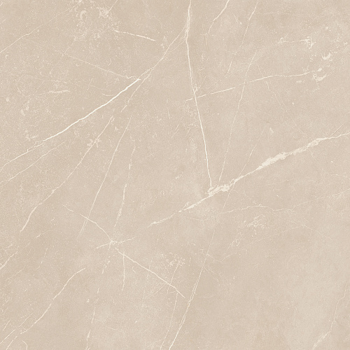 Плитка из керамогранита NL01 60x60x10 Полир. (Керамический гранит)