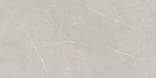 Плитка из керамогранита NL02 60x120x10 Непол.Рект. (Керамический гранит)