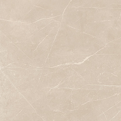 Плитка из керамогранита NL01 60x60x10 Полир. (Керамический гранит)