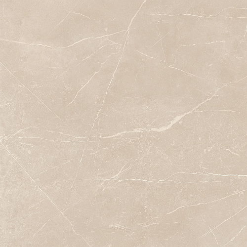 Плитка из керамогранита NL01 60x60x10 Полир. (Керамический гранит)