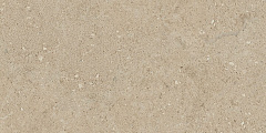 Плитка из керамогранита NP02 30,6x60,9x8 Непол. (Керамический гранит)