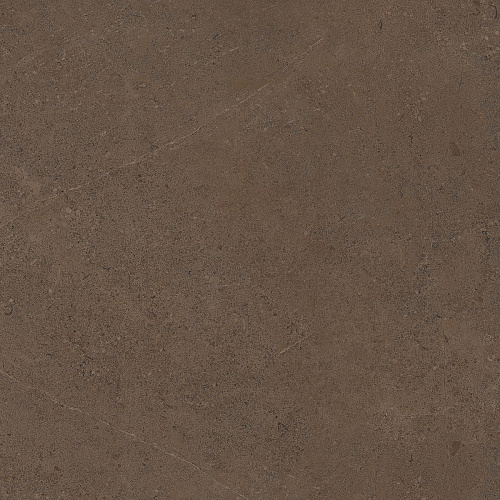 Плитка из керамогранита GO03 60x60 Непол.Рект. (Керамический гранит)