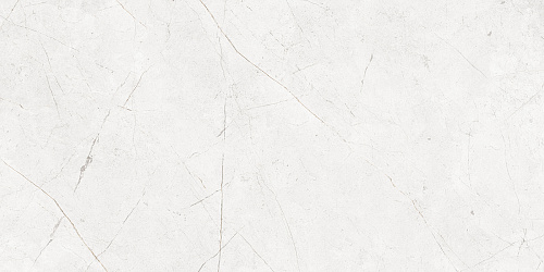 Плитка из керамогранита NL00 60x120x10 Полир. (Керамический гранит)