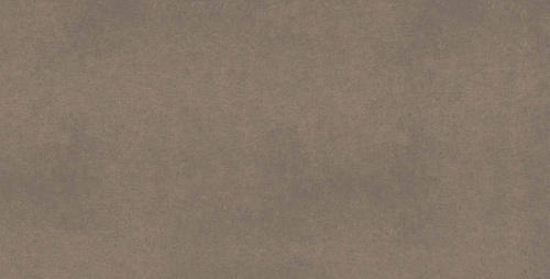 Плитка из керамогранита CA04 60x120x10 Непол.Рект. (Керамический гранит)