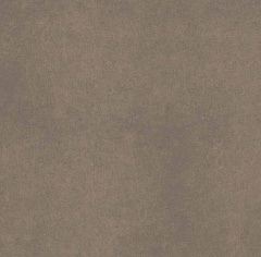 Плитка из керамогранита CA04 60x60x10 Непол.Рект. (Керамический гранит)