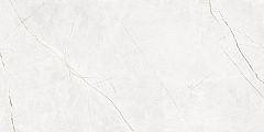 Плитка из керамогранита NL00 60x120x10 Полир. (Керамический гранит)