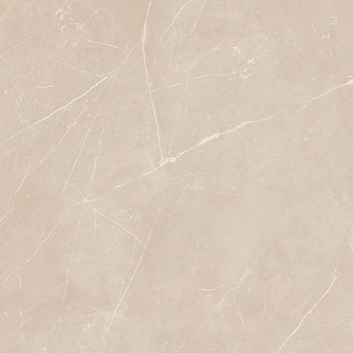 Плитка из керамогранита NL01 60x60x10 Полир. (Керамический гранит)