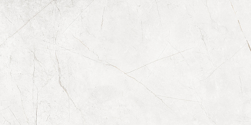 Плитка из керамогранита NL00 60x120x10 Полир. (Керамический гранит)