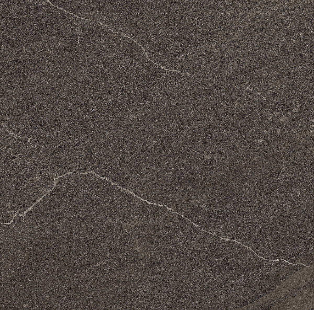Плитка из керамогранита GB03 60x60x10 Непол.Рект. (Керамический гранит)